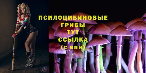 первитин Алексеевка