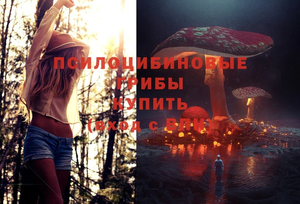 трава Абдулино